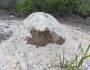 Sandy termite mound looks like a&nbsp;maze